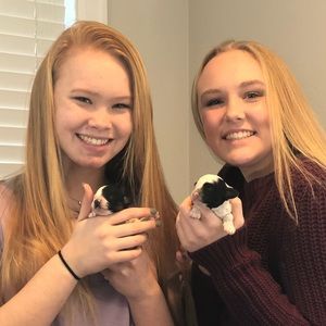 Meet your Posher, Ava